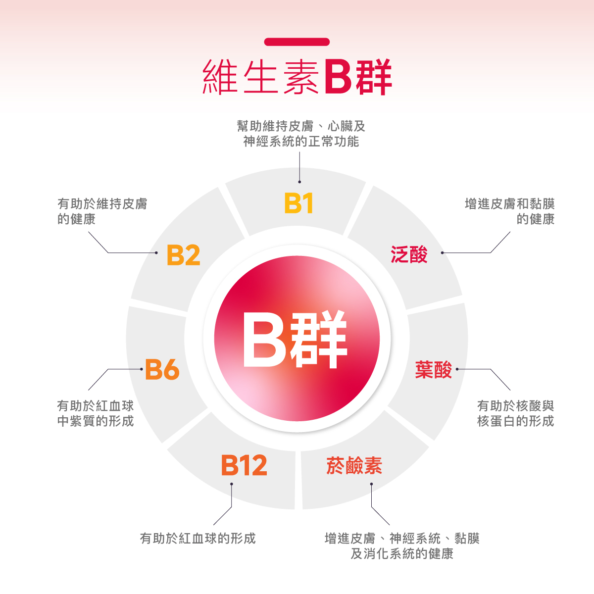 維生素B.B群.維他命B.代謝.養顏美容