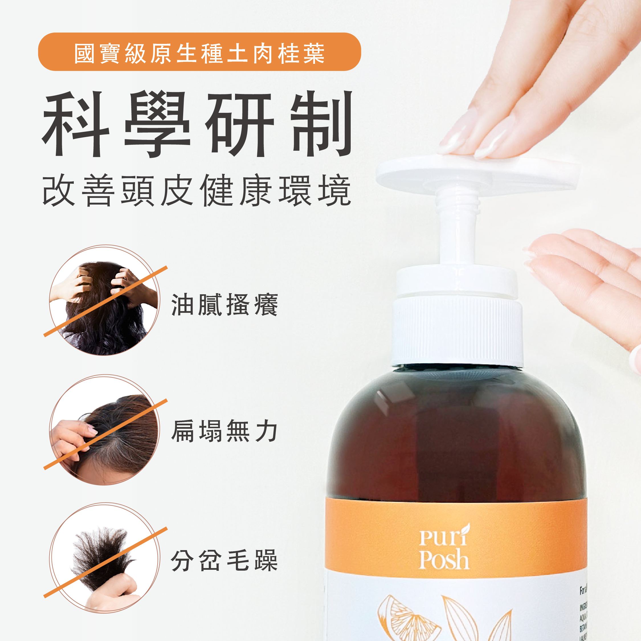 【淨白豐盈組】毛豆煥妍緊緻精華液＋土肉桂豐澤洗髮精500ml