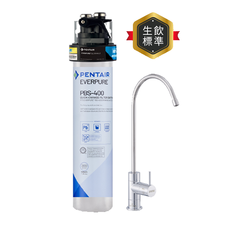 (可議價)EVERPURE 愛惠浦 除鉛碳纖維 PBS系列 淨水設備 含安裝 (PurVive-PBS400)
