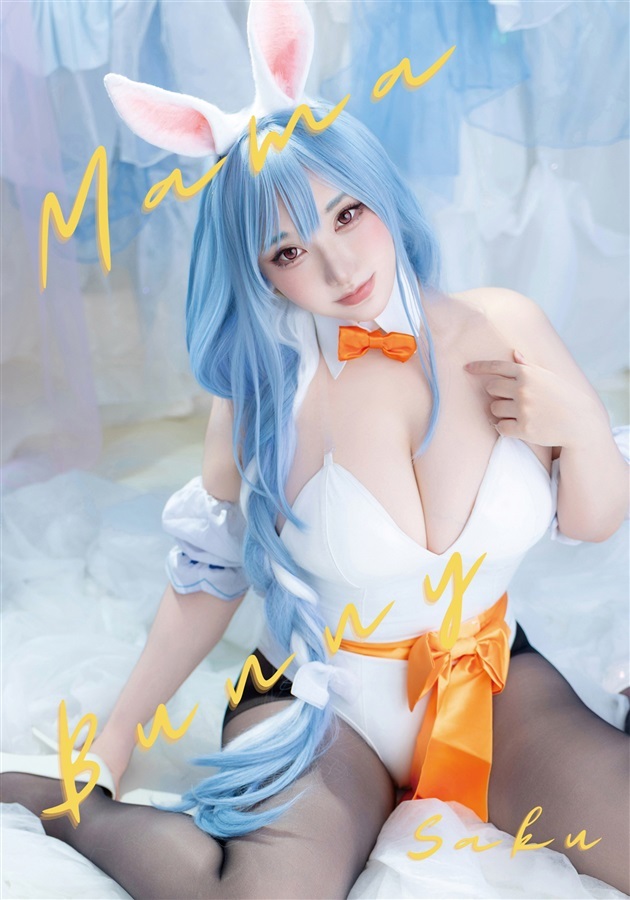 C106「同人代購」「Melonbooks代購」Shooting Star's - Mama Bunnyセット(ROM+紙媒体)