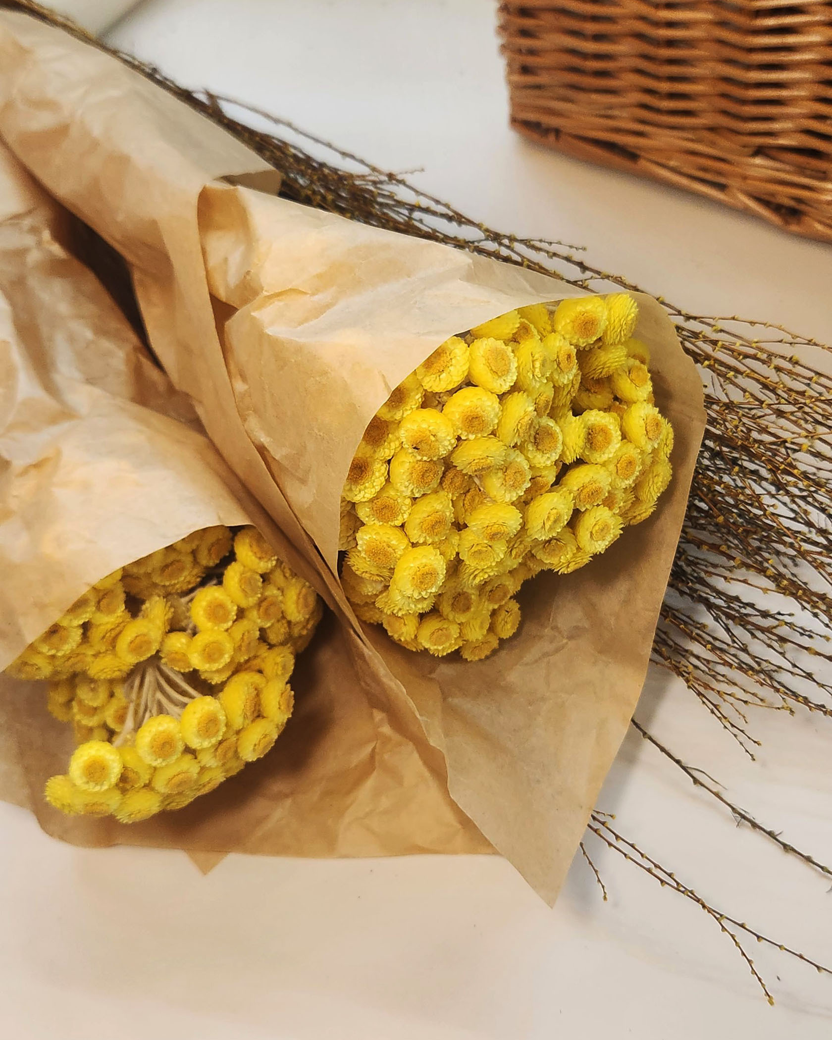 乾燥蠟菊 (義大利)