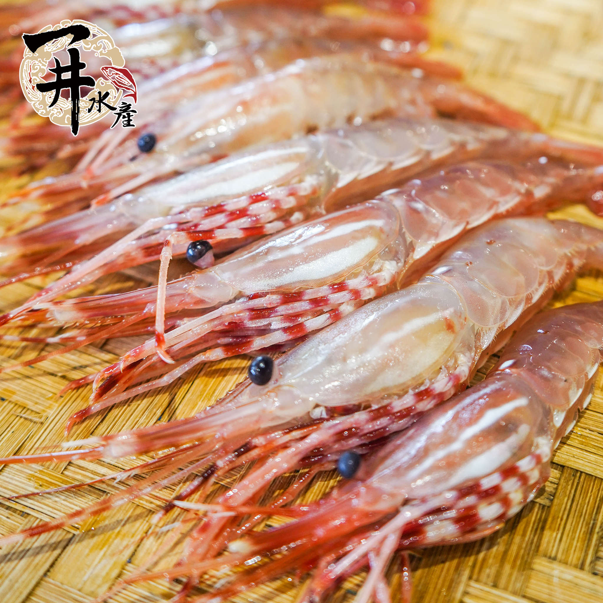 加拿大/俄羅斯 牡丹蝦