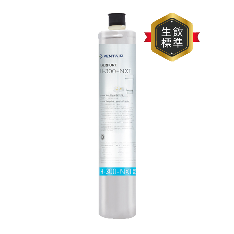 EVERPURE 愛惠浦 極致H系列 濾芯耗材 DIY更換/需安裝另計 (H300-NXT/H300NXT)