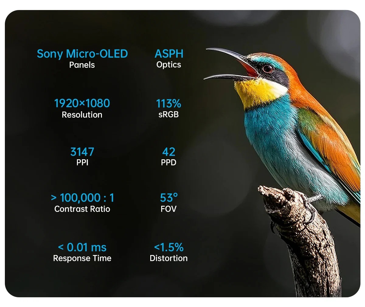 GOOVIS G3X Head-Mounted Display