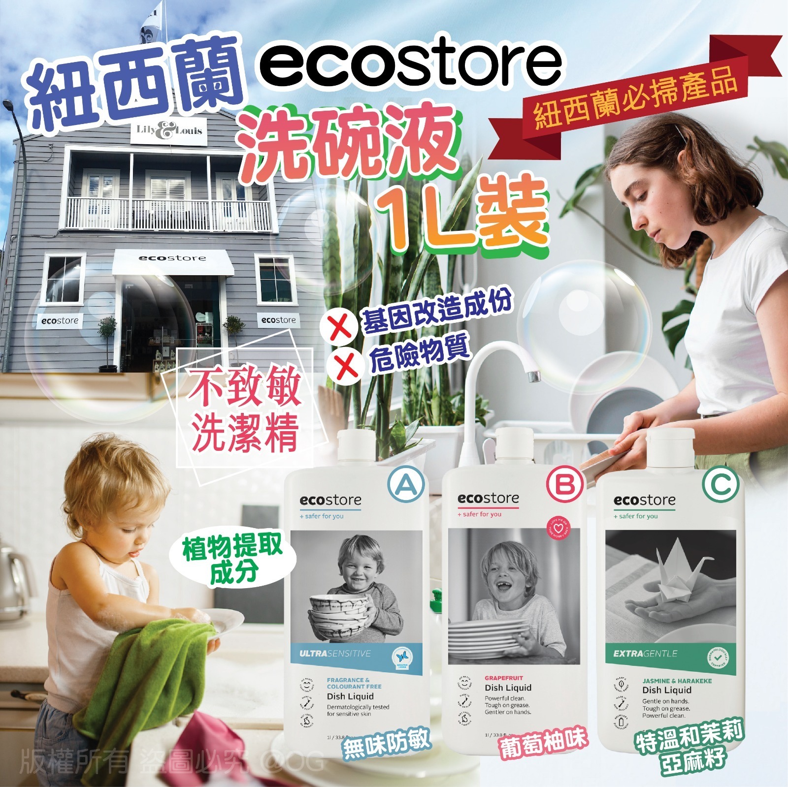 紐西蘭 Ecostore 洗碗液