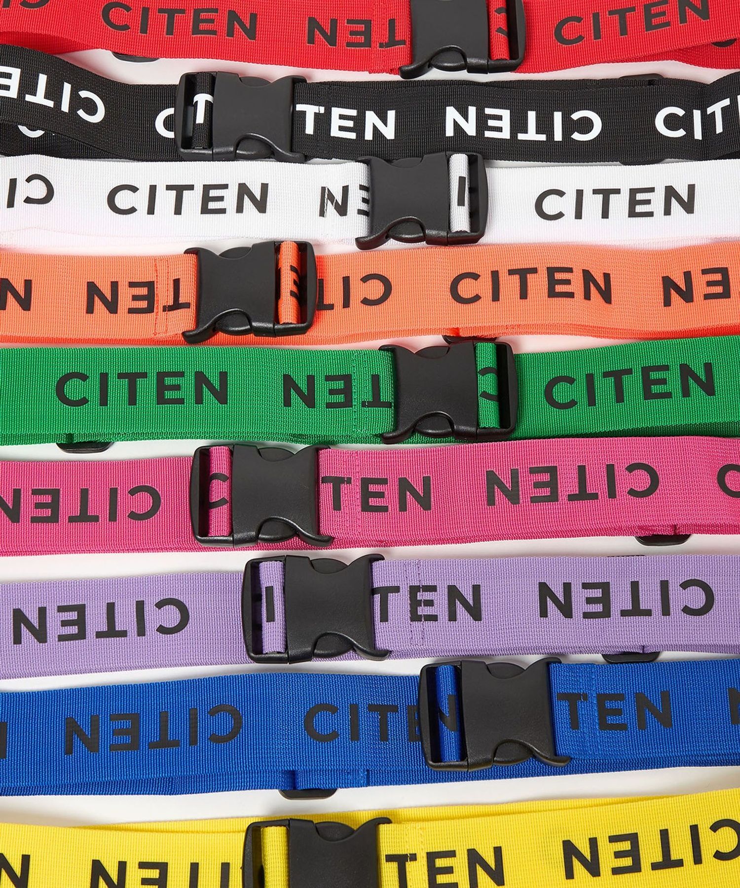 預購┃日本 CITEN 彩色 行李 綁帶 行李帶 旅行箱帶