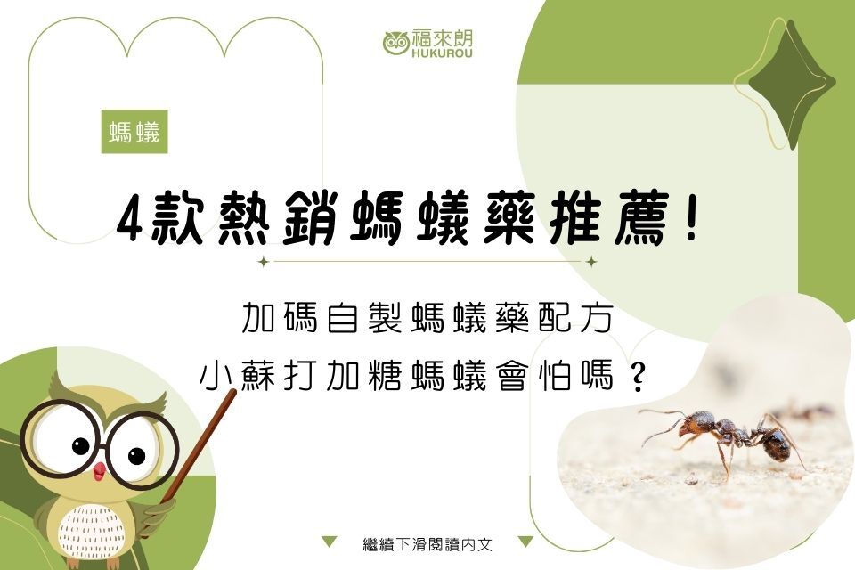 4款熱銷螞蟻藥推薦!加碼自製螞蟻藥配方,小蘇打加糖螞蟻會怕嗎?