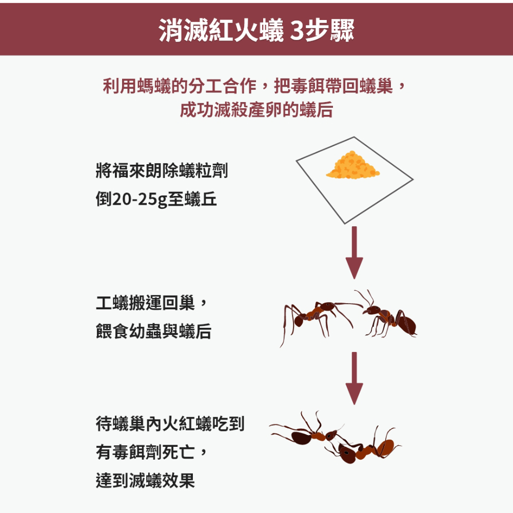【福來朗】除蟻粒劑 - 紅火蟻防治
