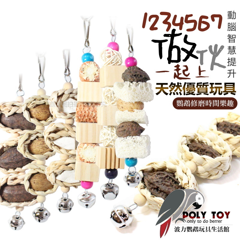 1234567做伙一起上 天然優質玩具 便宜好玩 鸚鵡玩具 腳下玩具 啃咬玩具 波力鸚鵡玩具生活館