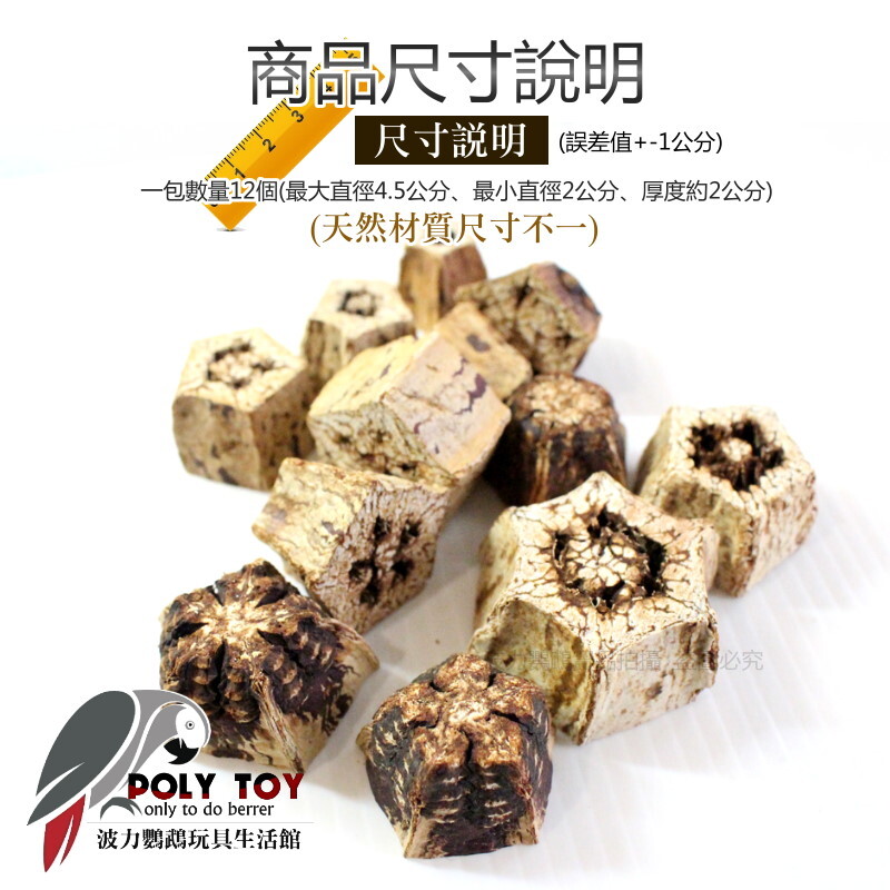 桃花心木塊12入(乾燥果實) 天然玩具 益智玩具 鸚鵡玩具 腳下玩具 波力鸚鵡玩具生活館