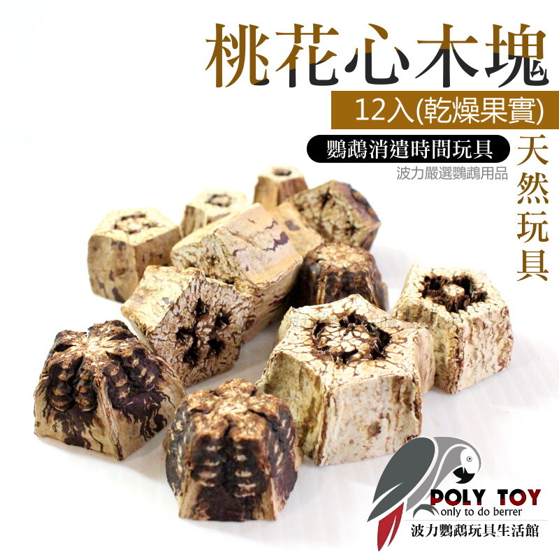 桃花心木塊12入(乾燥果實) 天然玩具 益智玩具 鸚鵡玩具 腳下玩具 波力鸚鵡玩具生活館
