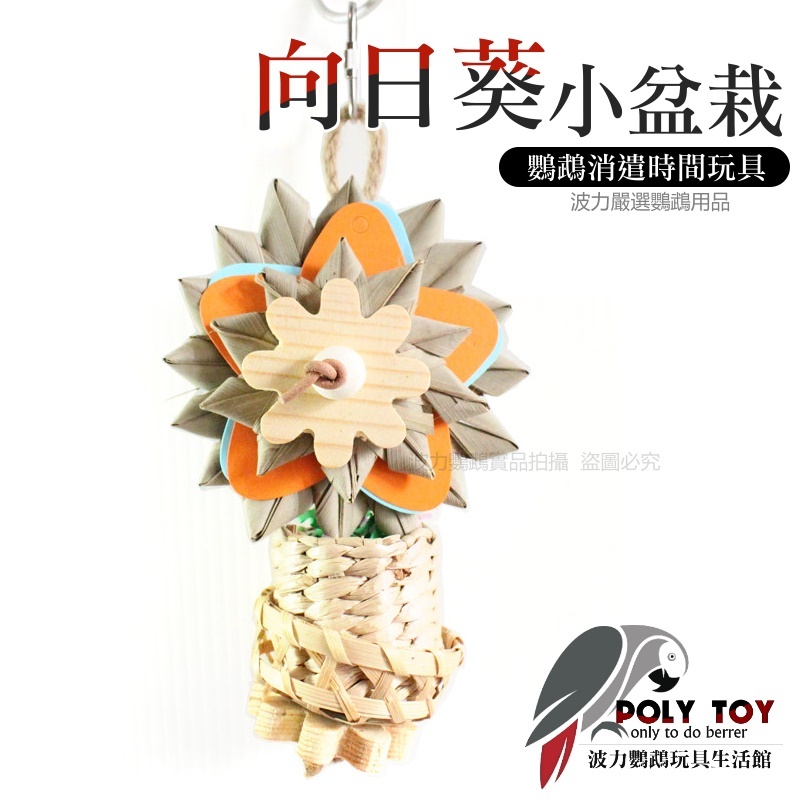 向日葵小盆栽 優質鸚鵡玩具 鸚鵡玩具 鸚鵡用品 波力鸚鵡玩具生活館