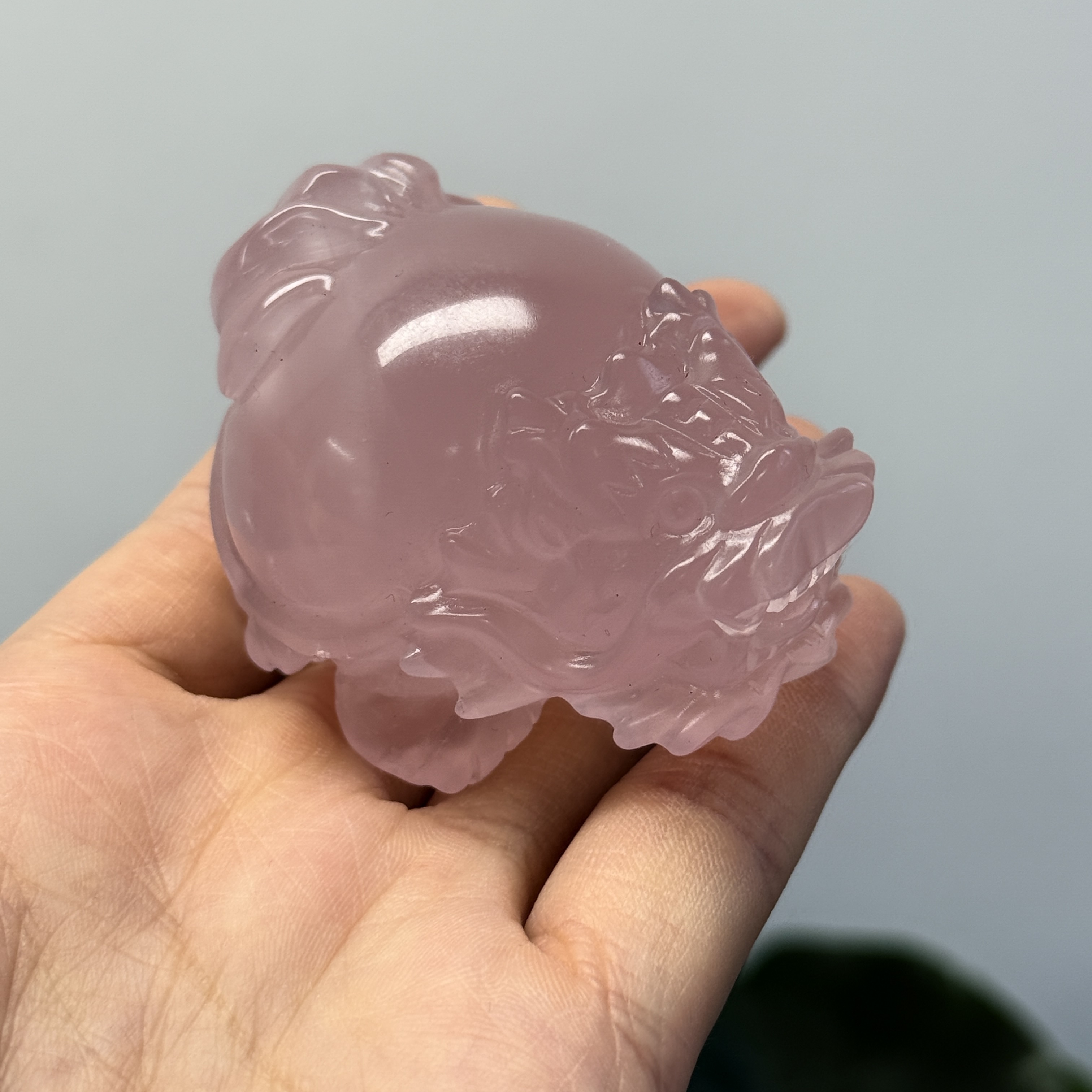 高級數粉晶龍龜  MP1686