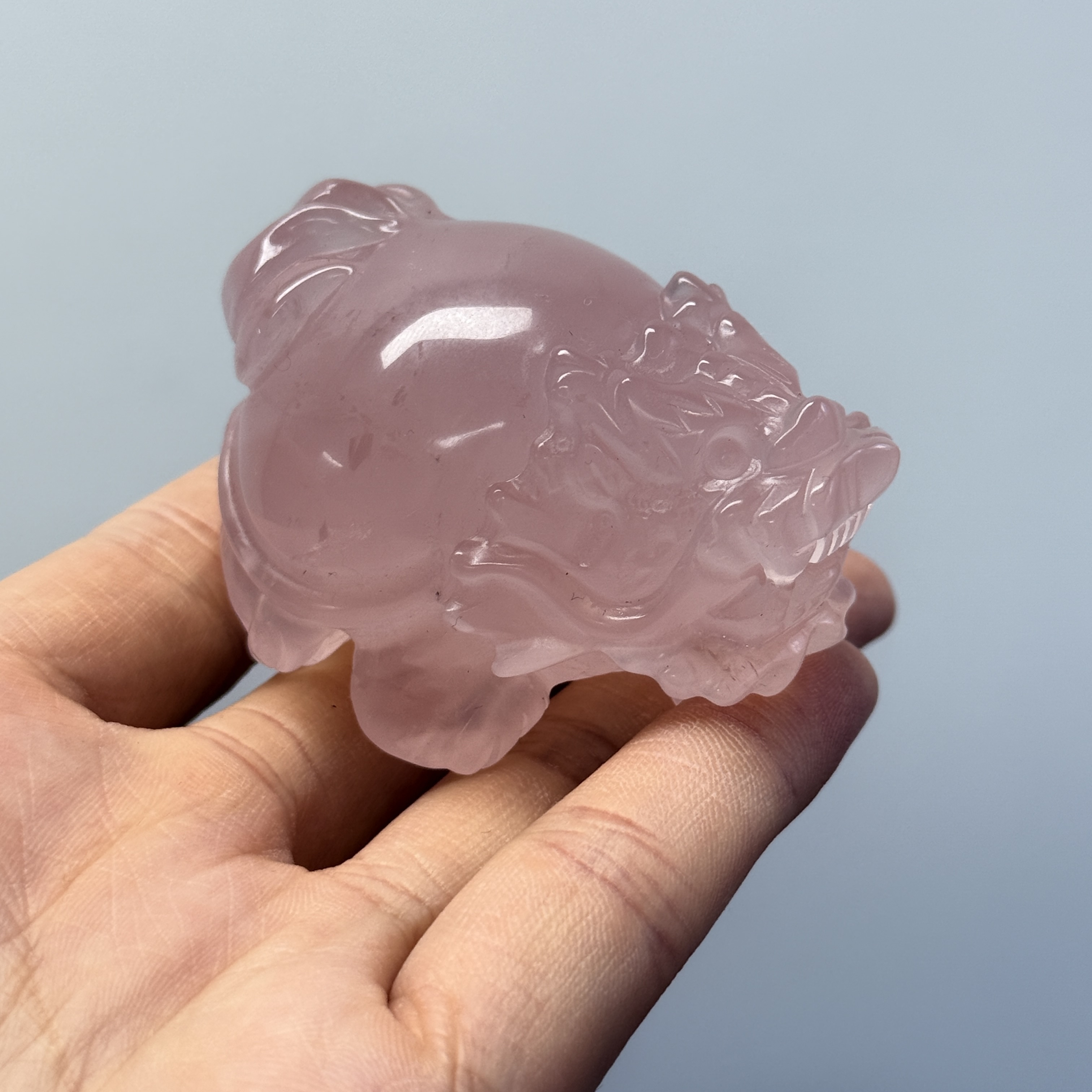 高級數粉晶龍龜  MP1688