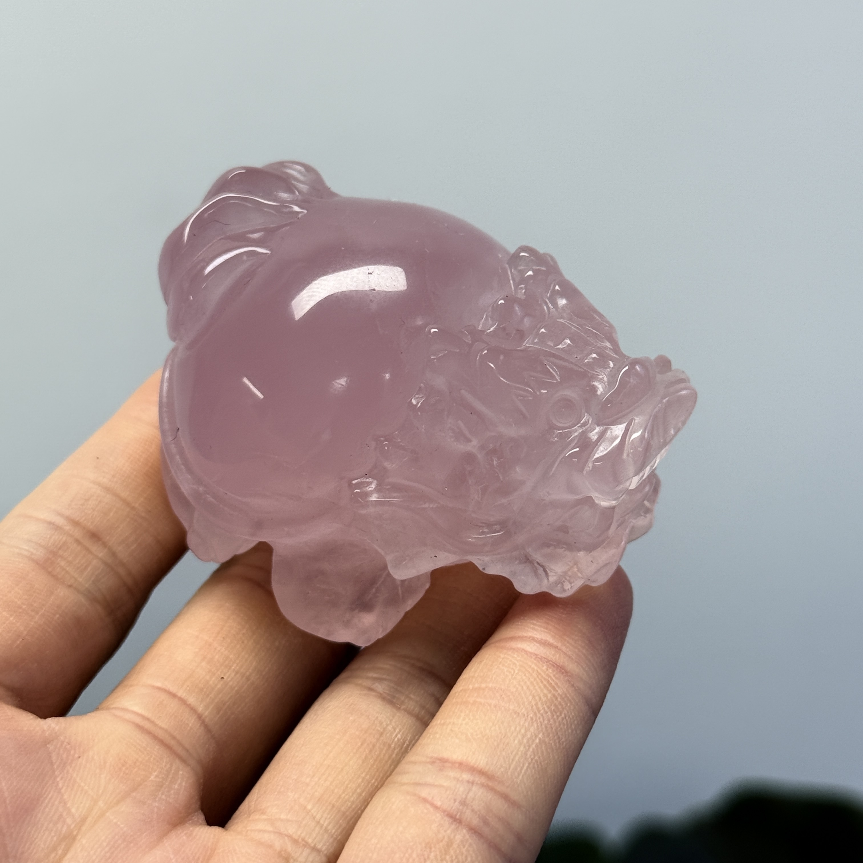 高級數粉晶龍龜  MP1689