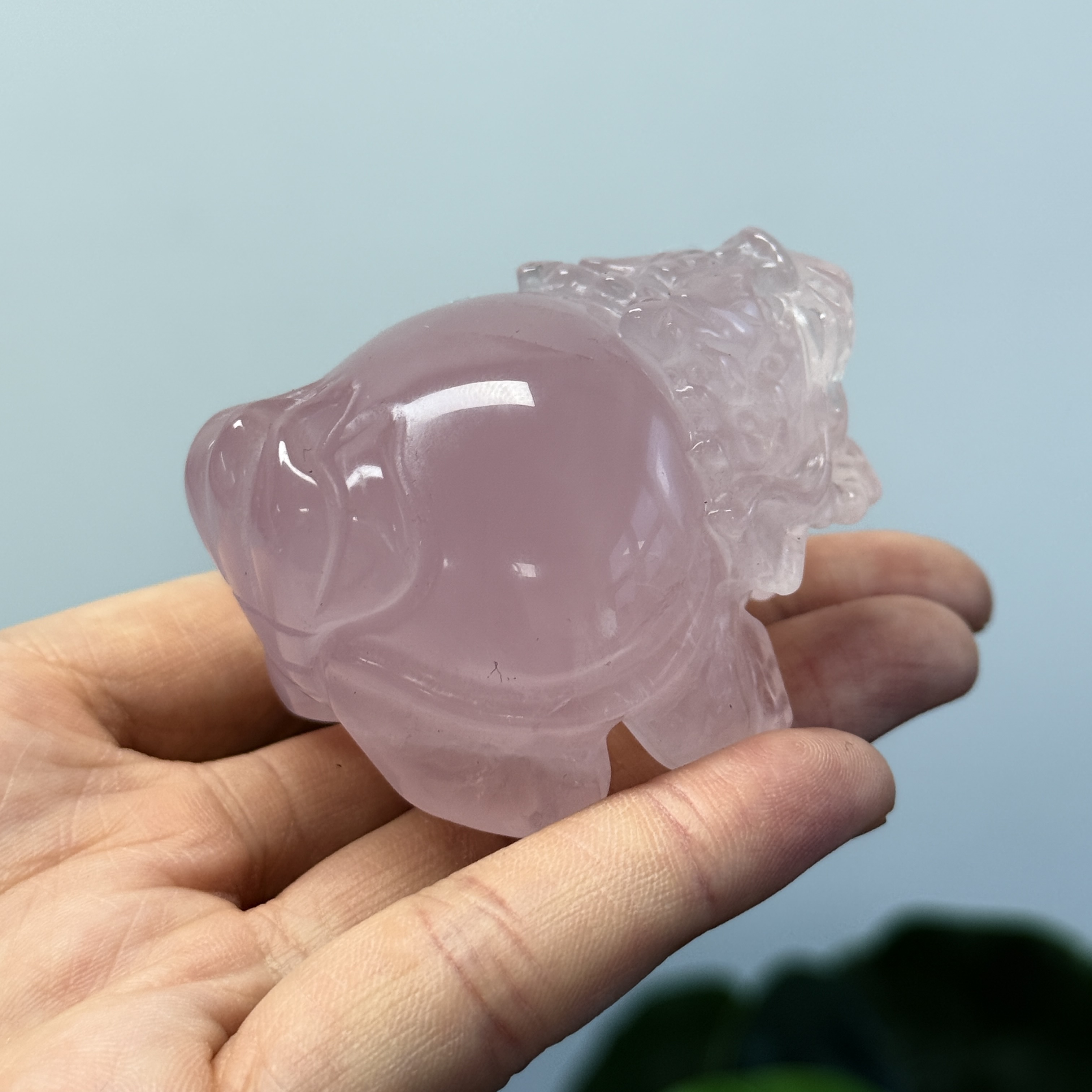 高級數粉晶龍龜  MP1689