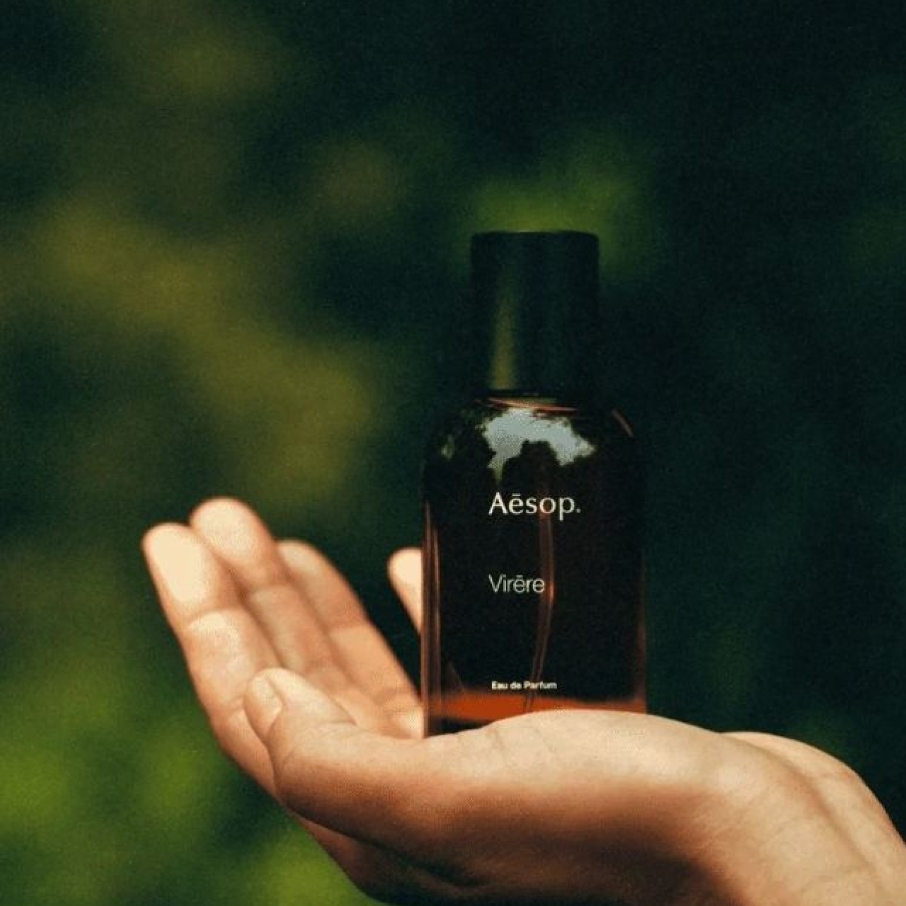 📦預購 Aesop-蔚香水50ml