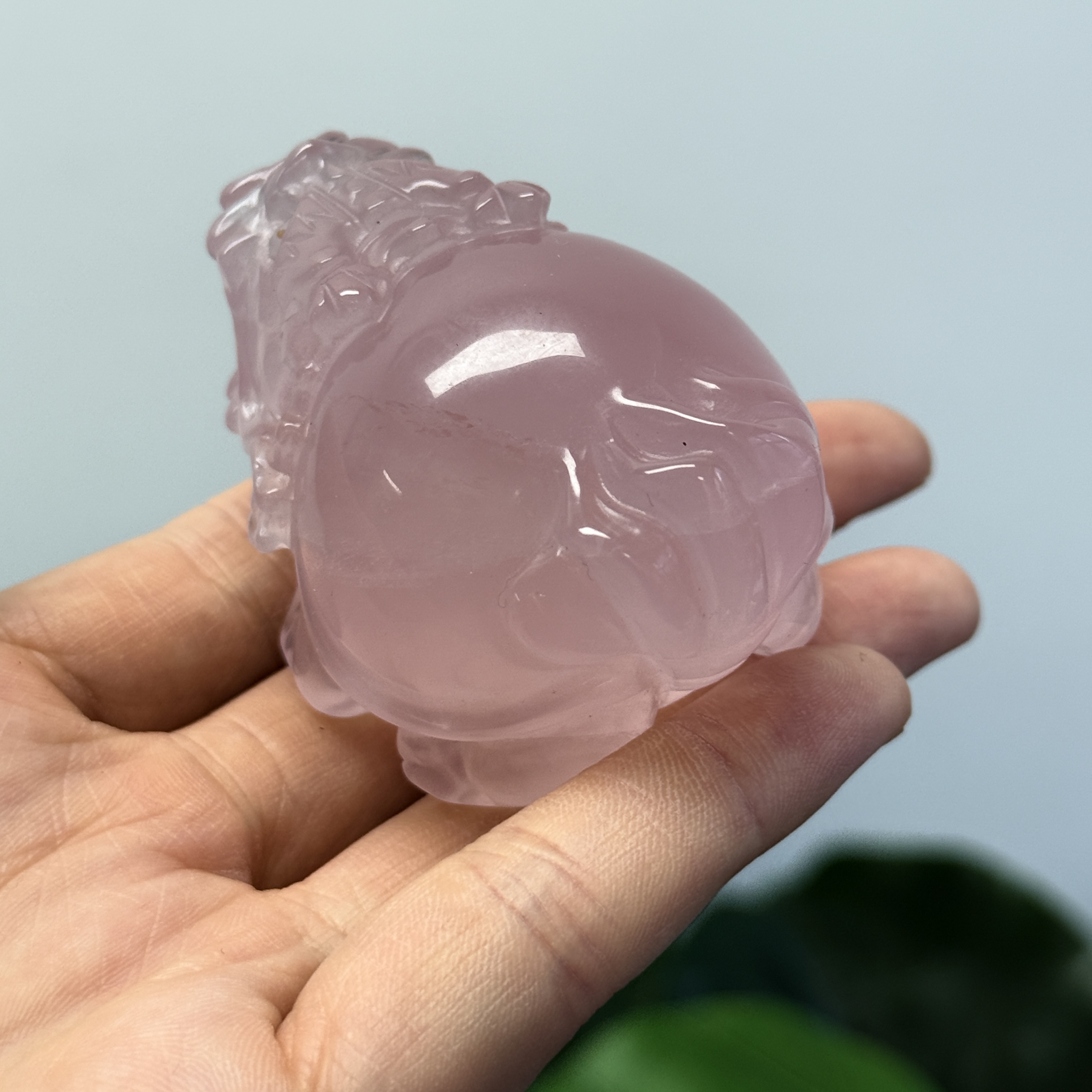 高級數粉晶龍龜  MP1690