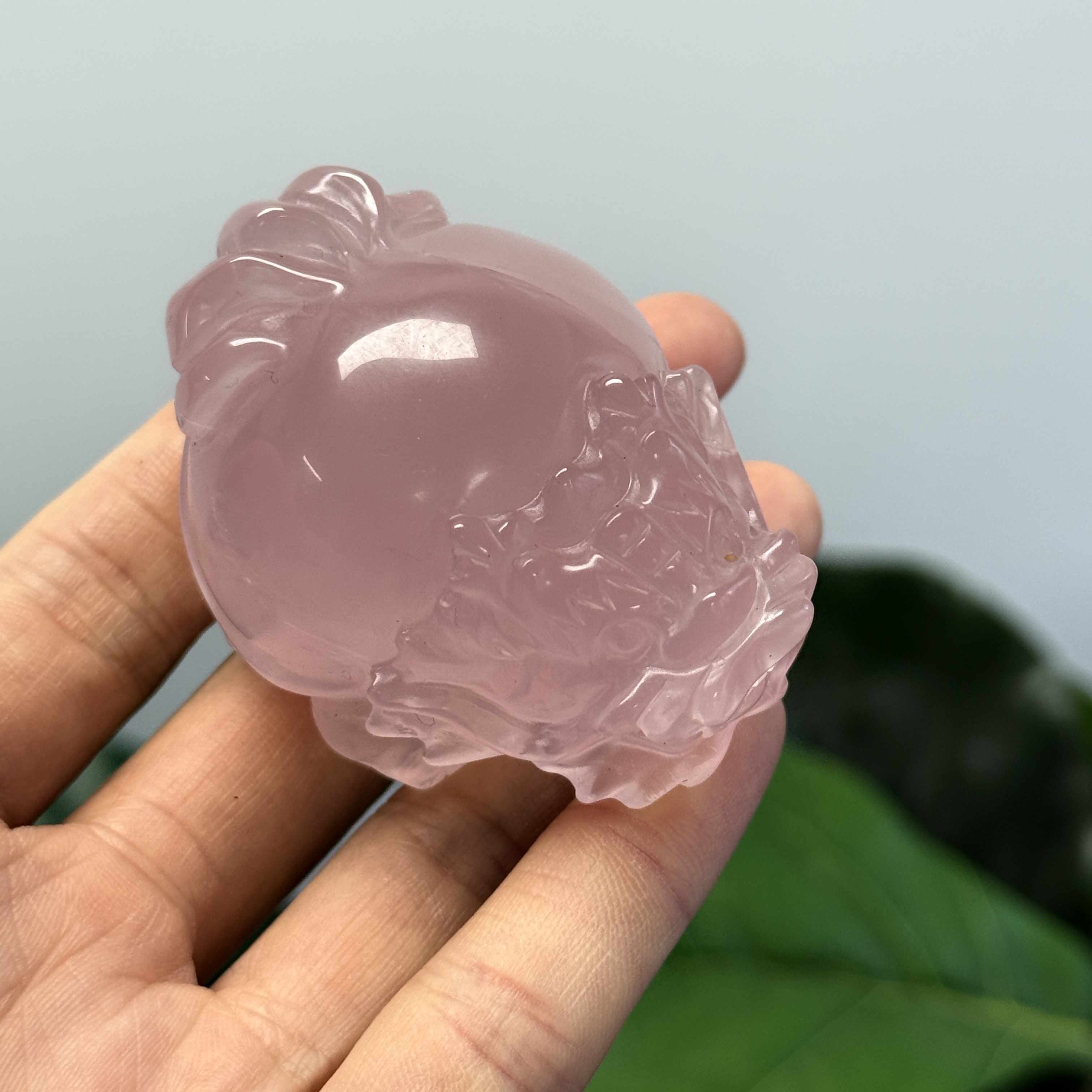 高級數粉晶龍龜  MP1690