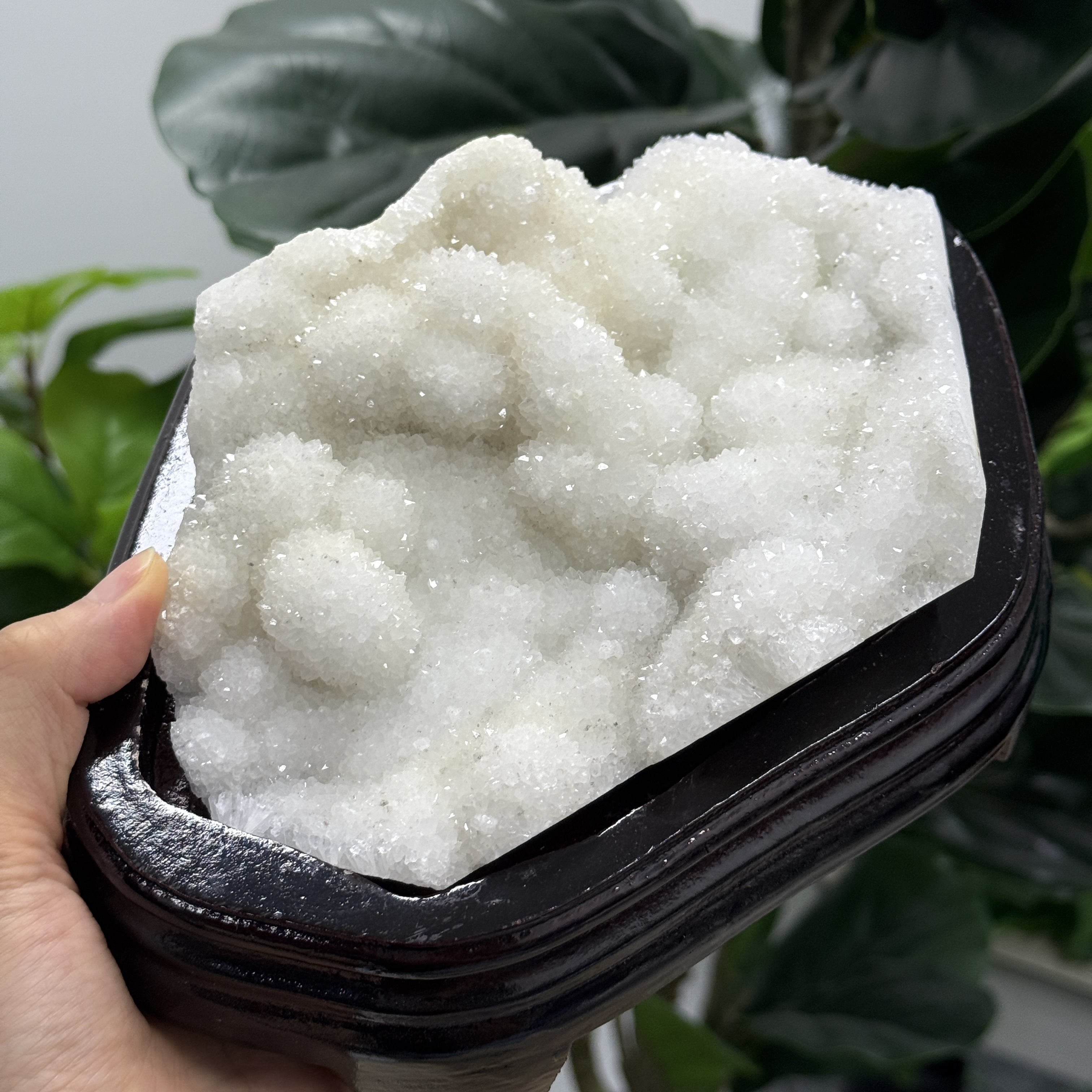 白晶簇 1300g WD2134