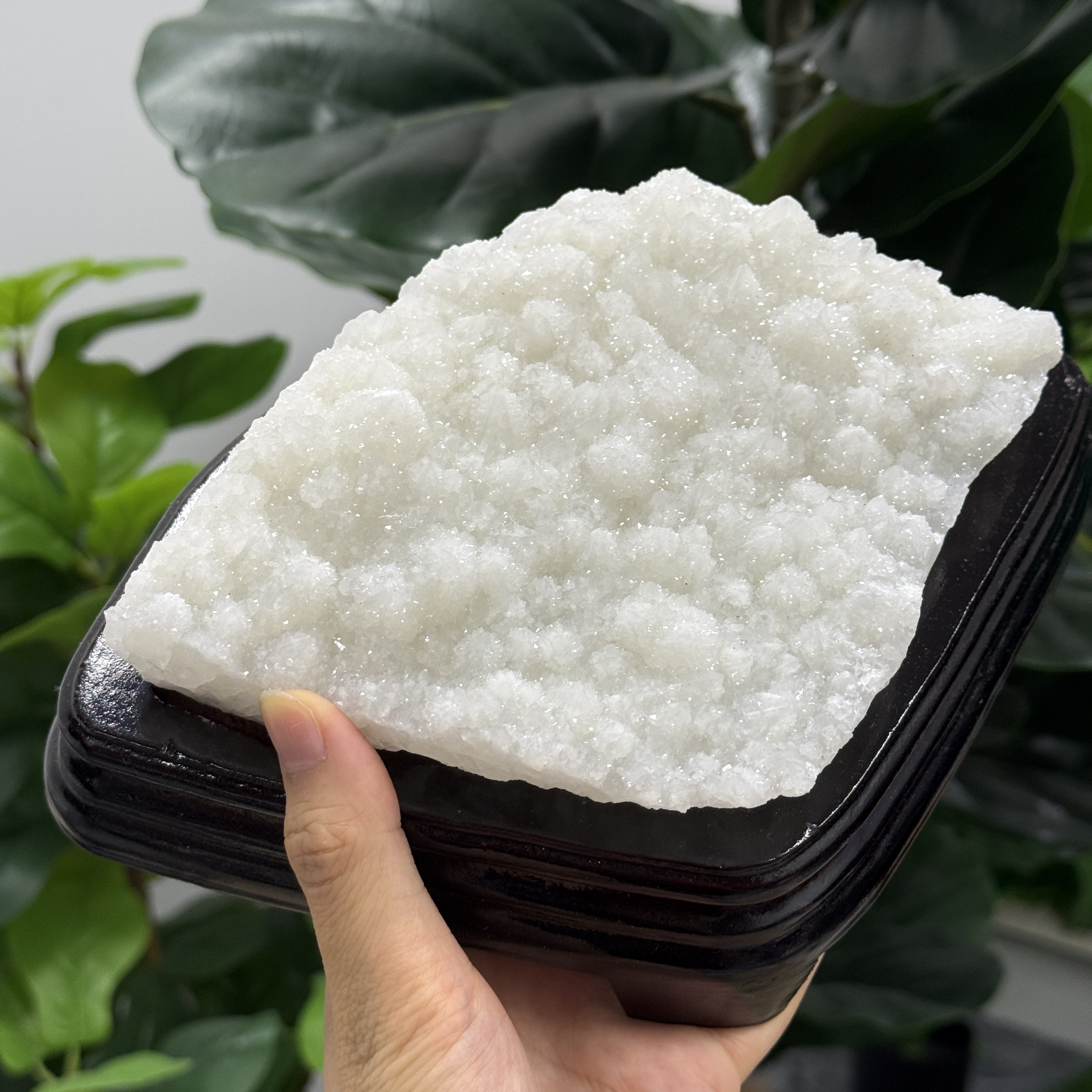 白晶簇 1282g WD2133