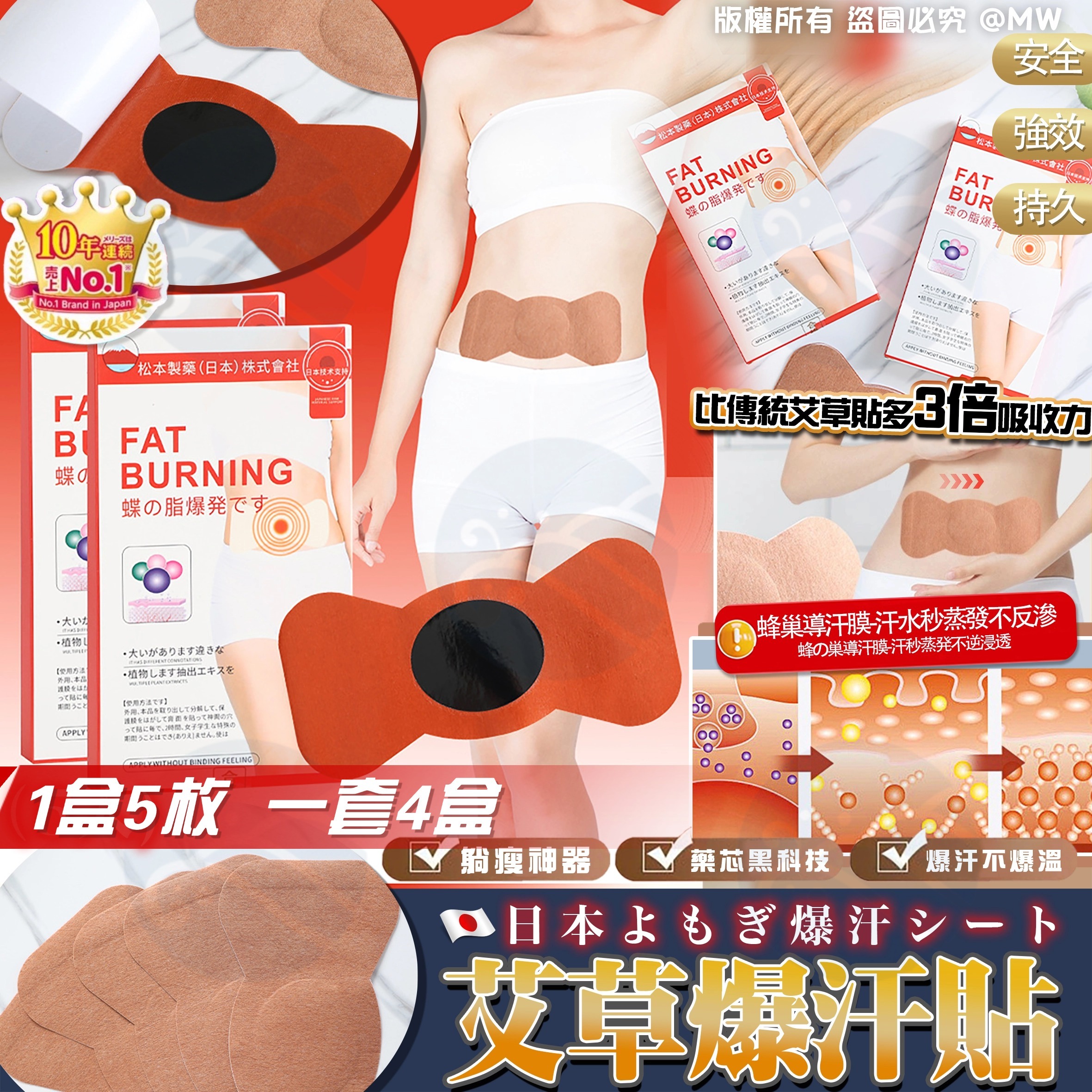 S19779 艾草植物大肚貼（5入） （1套4盒）