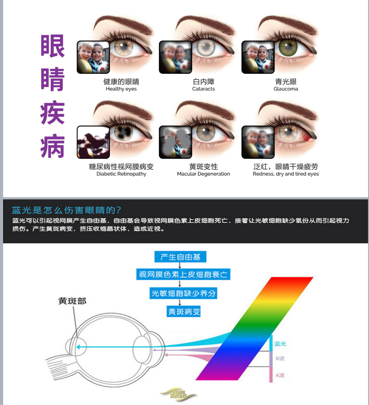 BERRY BRIGHT黑加侖子美目護眼素
