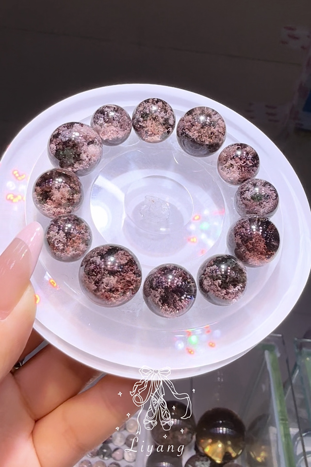 玫瑰巴西彩幽靈