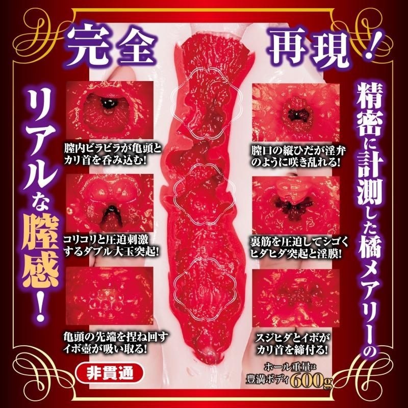 NPG,日本 NPG,NPG 自慰套,女優名器,女優自慰套,女優飛機杯,真人倒模,女優倒模,新熟女之星,橘瑪麗,橘メアリー,Mary Tachiban