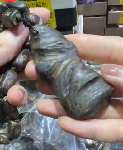 250816 - C56 蟲漏沉香吊咀頸鏈（C款）