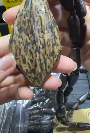 250816 - C57  蟲漏沉香吊咀頸鏈（D款）