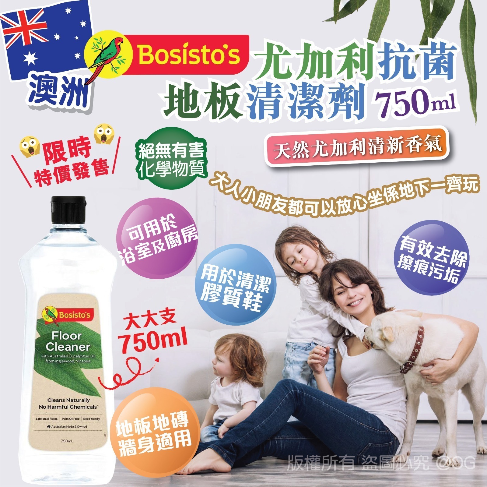 (現貨) 澳洲Bosisto's 尤加利抗菌地板清潔劑750ml
