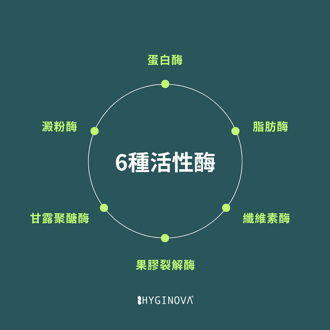 Hyginova 複合酶濃縮地板清潔劑