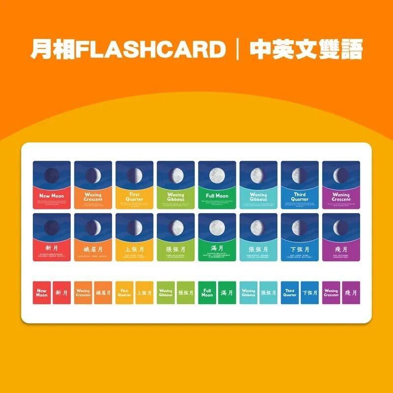 Curios®️ 英文ABC配對卡