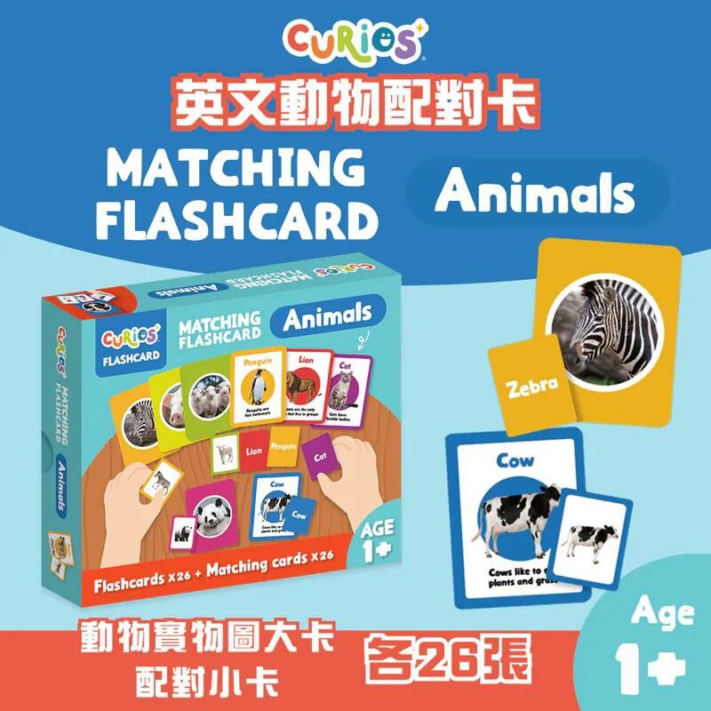 Curios®️英文動物配對卡