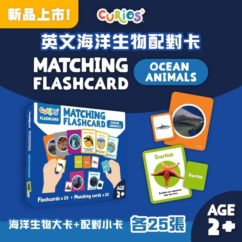 Curios®️ 英文海洋生物配對卡