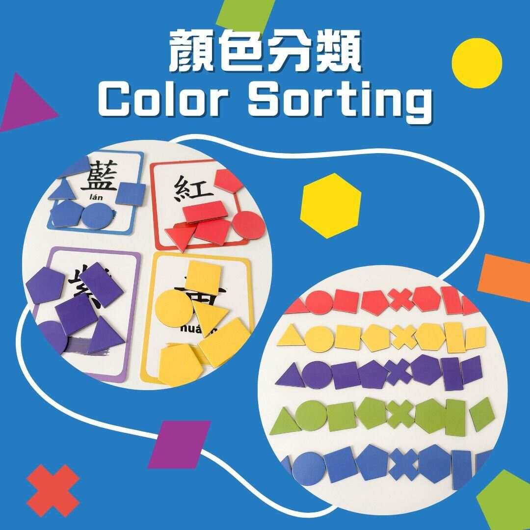 Curios®️ Creative Tans創意七巧板