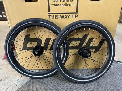 Birdy 3 拆車 碟剎輪組