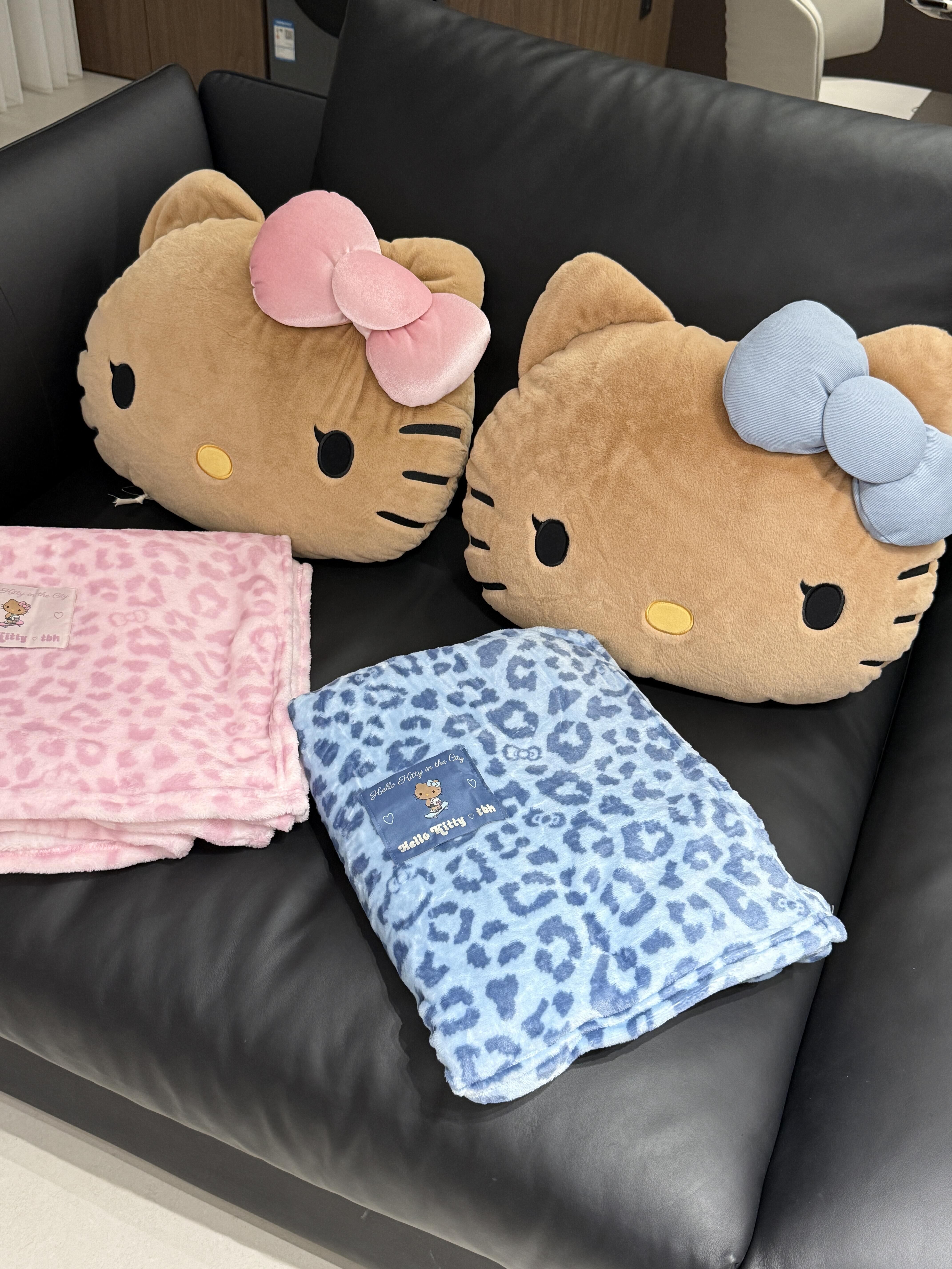 Hello Kitty x TBH 夏日黑皮系列 二合一 抱枕 法蘭絨 毛毯 午睡毯 凱蒂貓 宋雨琦代言 多用途/預購