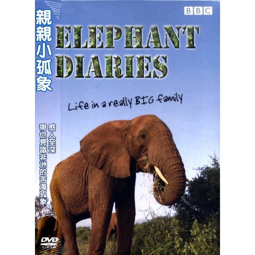 親親小孤象 (2005) (DVD) [訂貨]