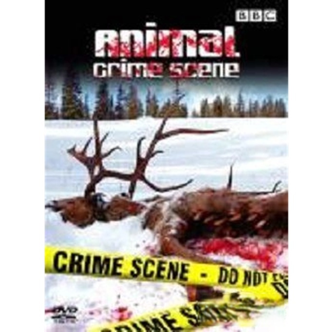 野獸偵緝檔案 (TV) (2005) (DVD) [訂貨]