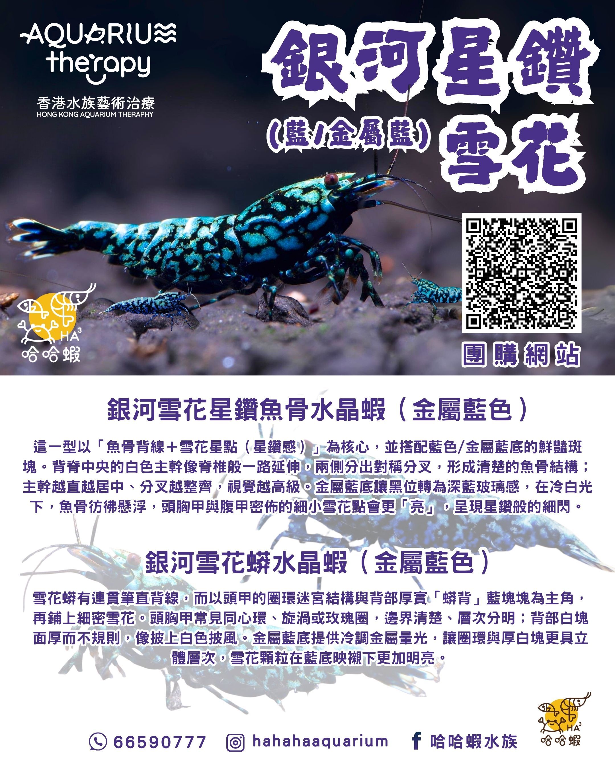 銀河星鑽雪花魚骨水晶蝦 | BLUE / Metallic Blue Galaxy Fishbone Snowflake [團購]