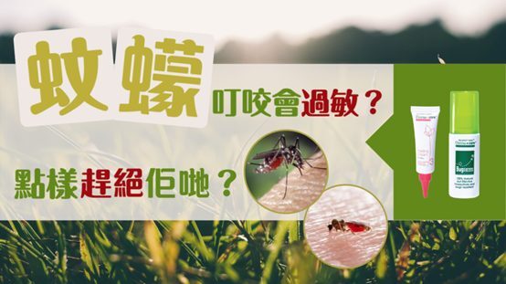 蚊子与蠓虫的对比图片