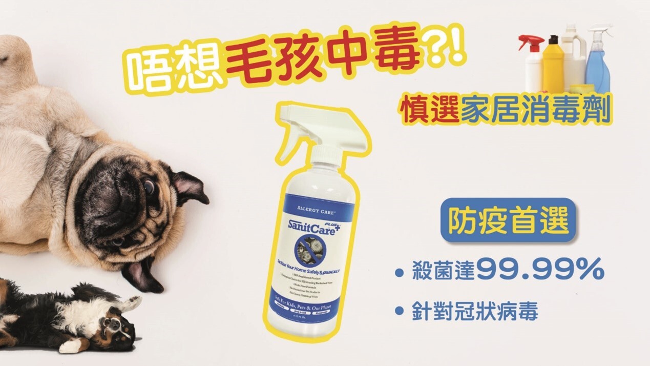 消毒噴劑怎麼選？寵物家庭可安心使用