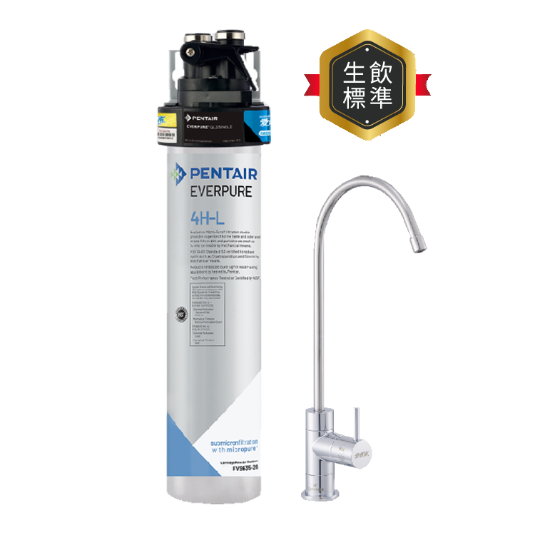 (可議價)EVERPURE 愛惠浦 進階除鉛 HL系列 淨水設備 含安裝(PurVive-4HL)