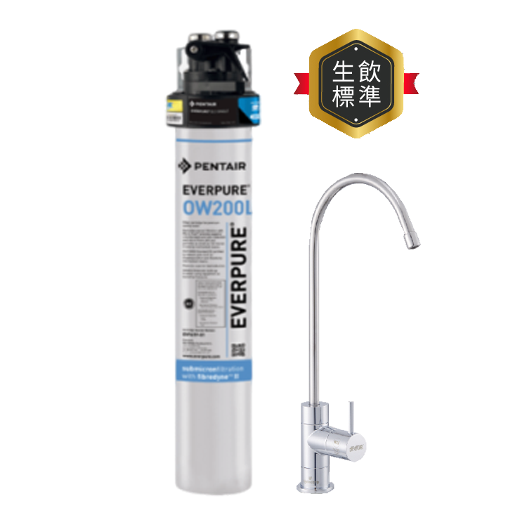 (可議價)EVERPURE 愛惠浦 全效O系列 淨水設備 含安裝 (PurVive-OW200L)