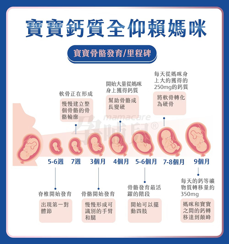 孕哺兒，新一代BP天然珊瑚鈣+D3膠囊