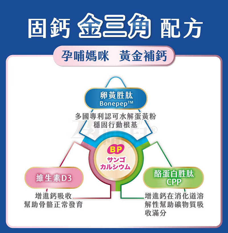 孕哺兒，新一代BP天然珊瑚鈣+D3膠囊