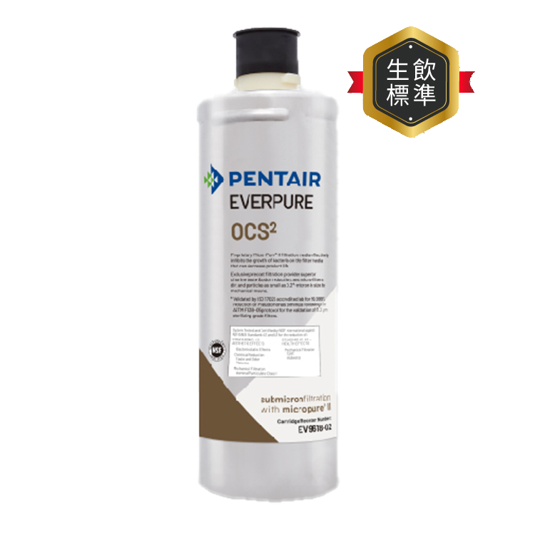 EVERPURE 愛惠浦 全效O系列 活性碳濾芯耗材 DIY更換/需安裝另計 (OCS2)