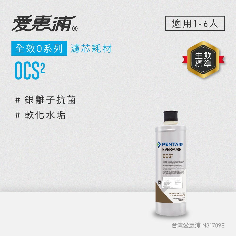 EVERPURE 愛惠浦 全效O系列 活性碳濾芯耗材 DIY更換/需安裝另計 (OCS2)